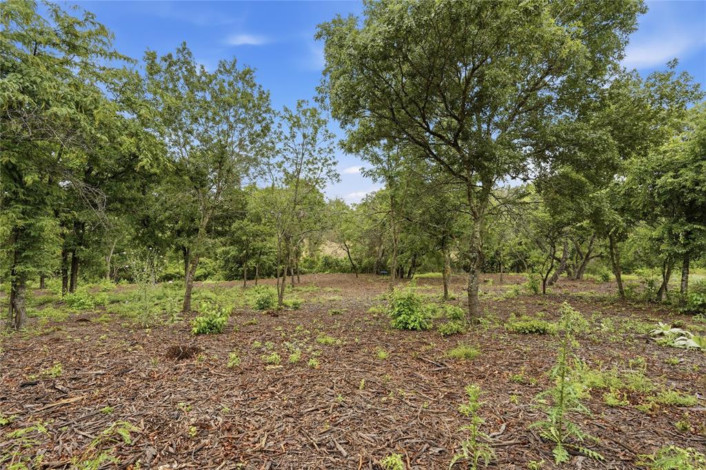 Tbd Northview Road Aledo, TX 76008 - Photo 12 of 35 a view of outdoor space with trees all around
