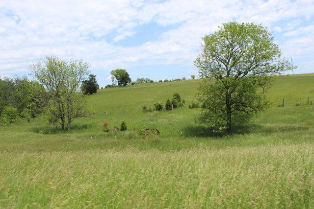 239 Ralph Parks East Road Richmond, KY 40475 - Photo 31 of 45 Photo 31