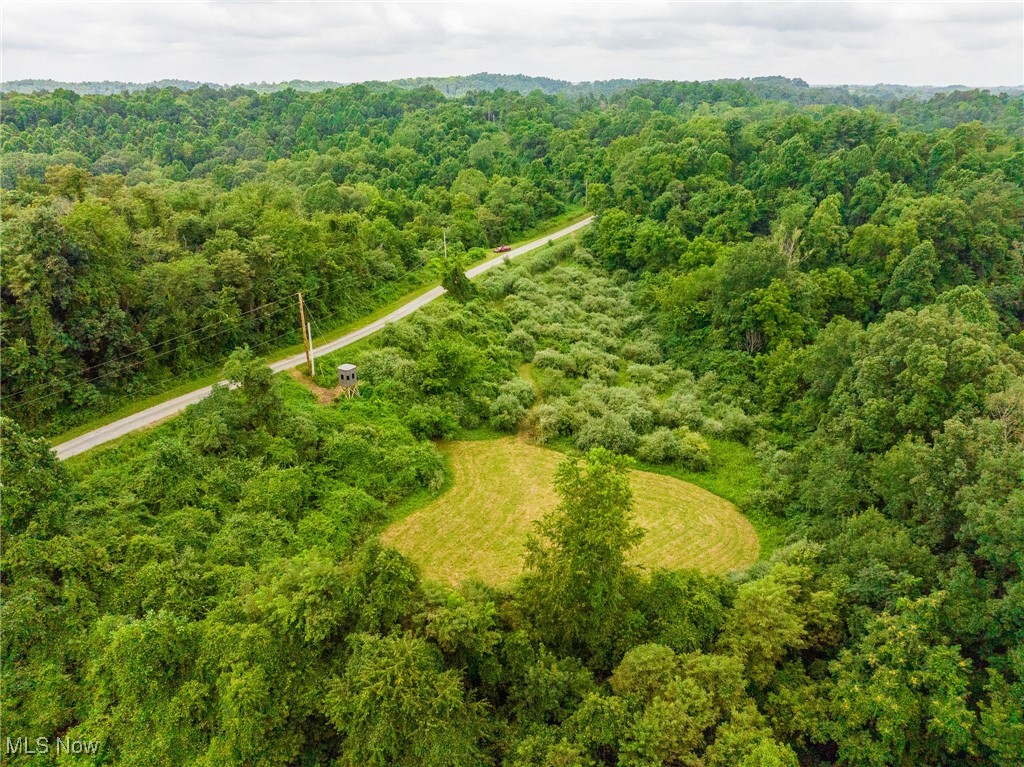 Harrons Ridge Road Dexter City, OH 45727 - Photo 16 of 50 Bird's eye view of a heavily wooded area