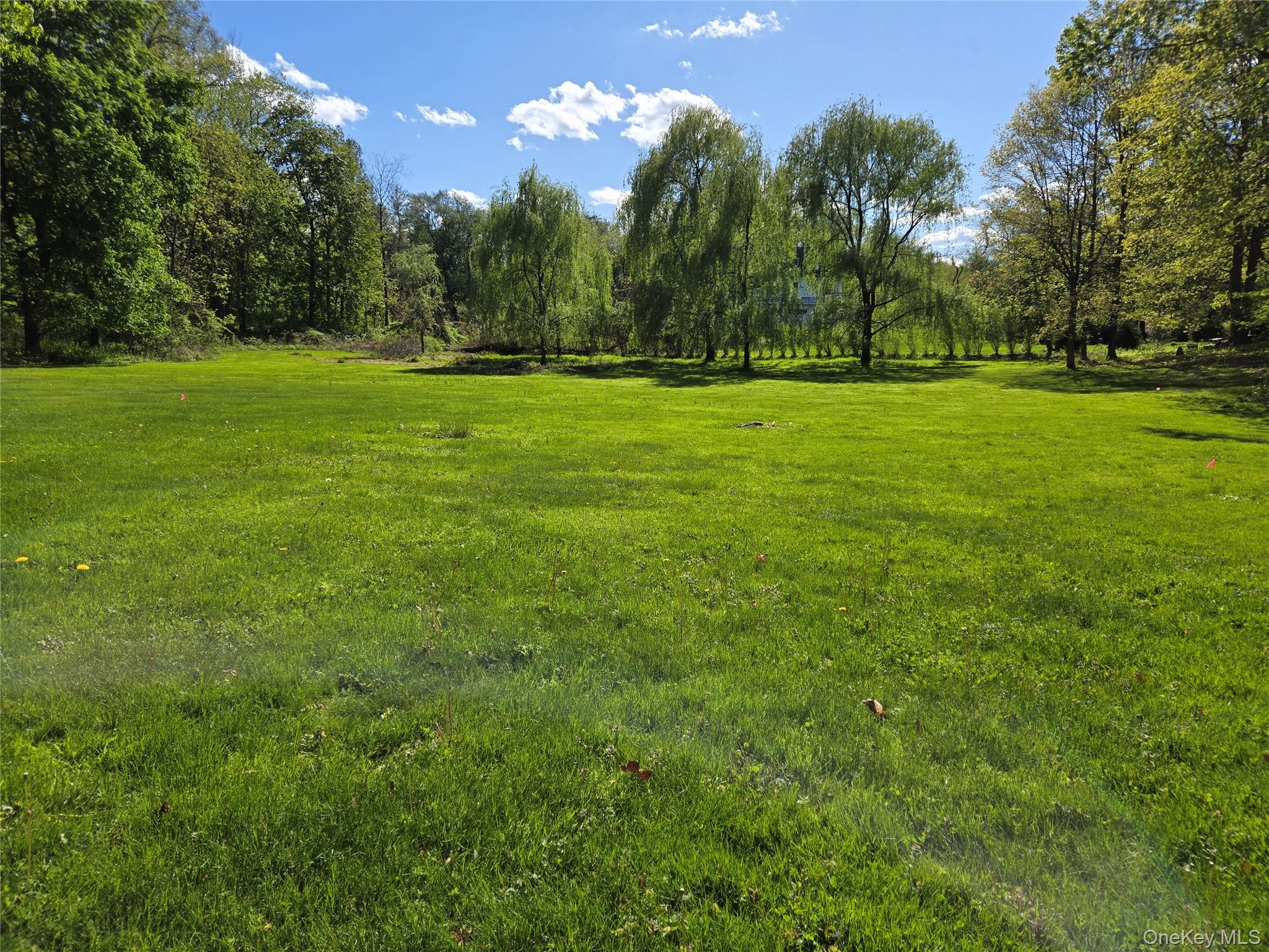 15 Rockledge Road Rye, NY 10580 - Photo 3 of 4 Love the land!