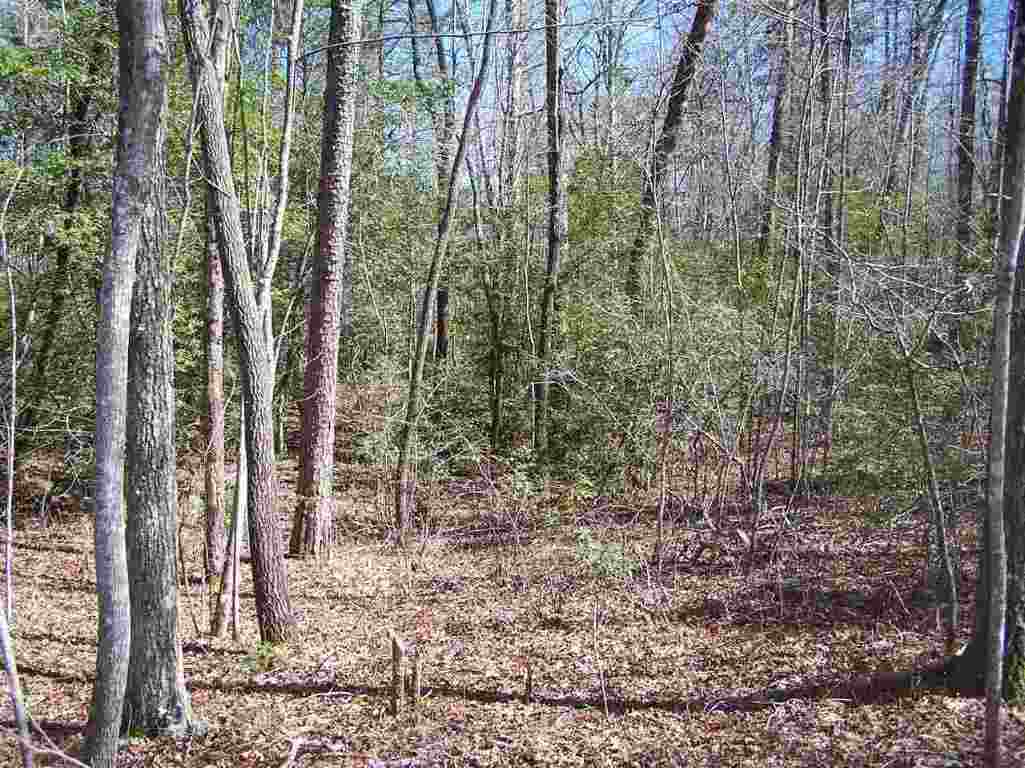 Lot 002 Bonner Road Mountain Rest, SC 29664 - Photo 14 of 31 Gallery Image 14