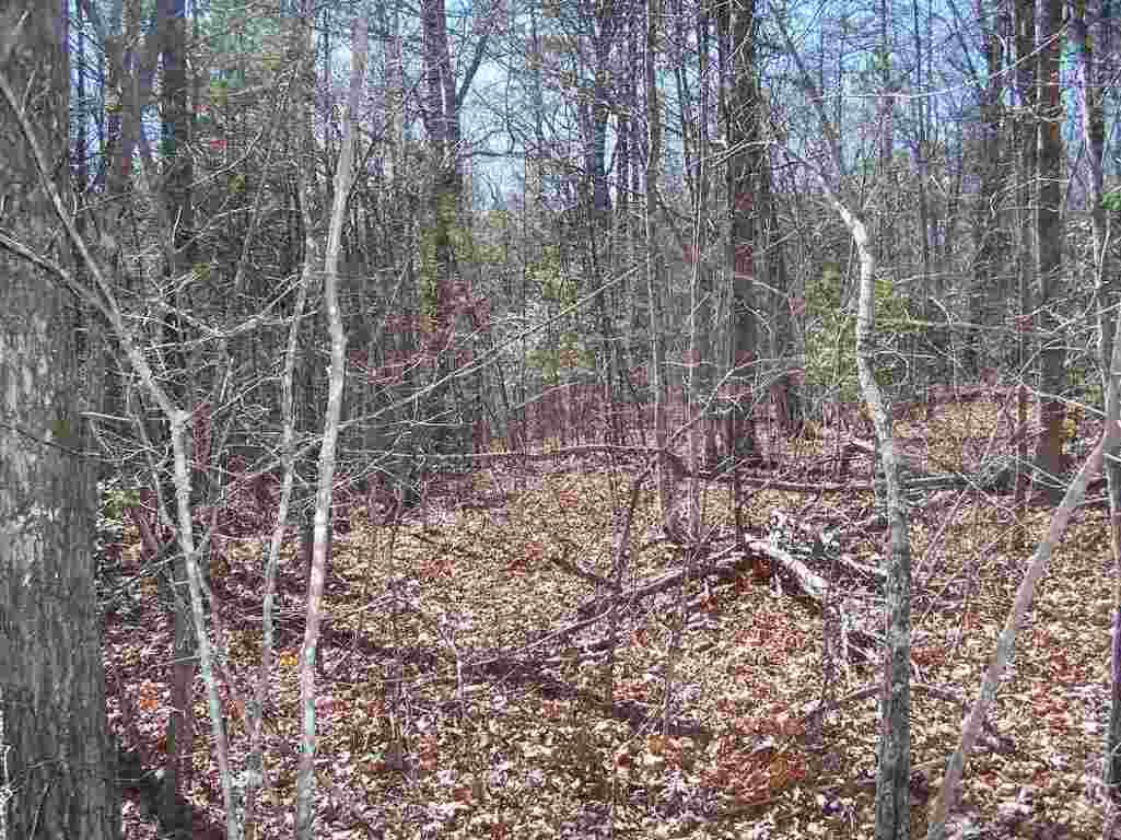 Lot 002 Bonner Road Mountain Rest, SC 29664 - Photo 18 of 31 Gallery Image 18