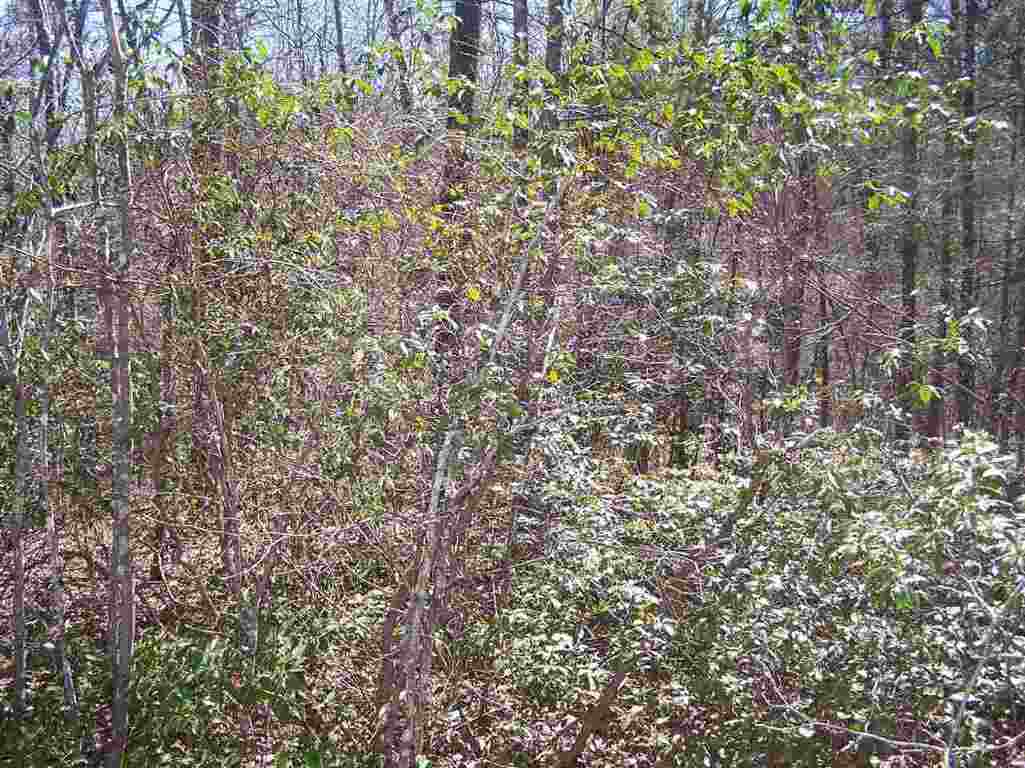 Lot 002 Bonner Road Mountain Rest, SC 29664 - Photo 20 of 31 Gallery Image 20