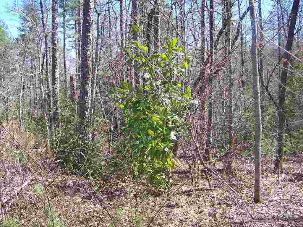 Lot 002 Bonner Road Mountain Rest, SC 29664 - Photo 21 of 31 Gallery Image 21