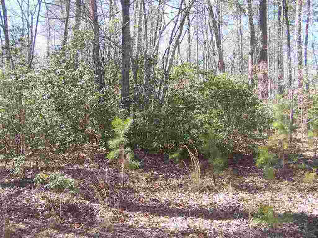 Lot 002 Bonner Road Mountain Rest, SC 29664 - Photo 23 of 31 Gallery Image 23