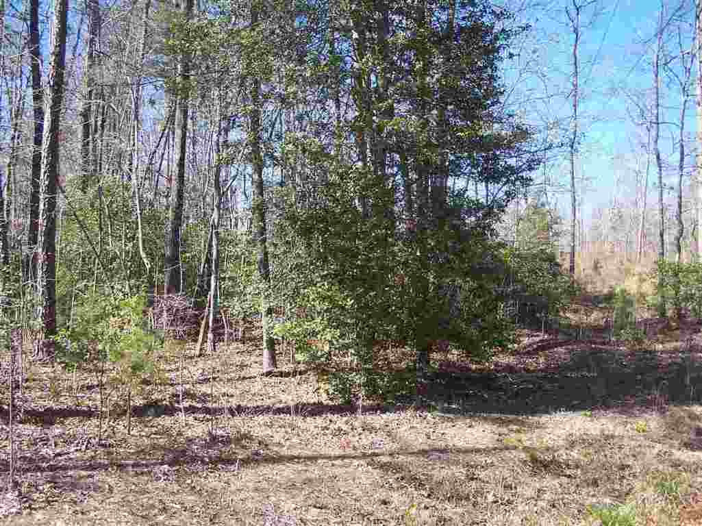 Lot 002 Bonner Road Mountain Rest, SC 29664 - Photo 24 of 31 Gallery Image 24