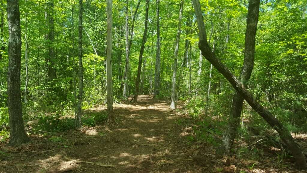 Lot 002 Bonner Road Mountain Rest, SC 29664 - Photo 25 of 31 Gallery Image 25