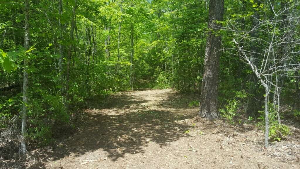 Lot 002 Bonner Road Mountain Rest, SC 29664 - Photo 26 of 31 Gallery Image 26