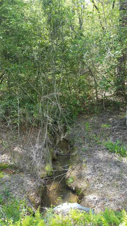 Lot 002 Bonner Road Mountain Rest, SC 29664 - Photo 29 of 31 Gallery Image 29