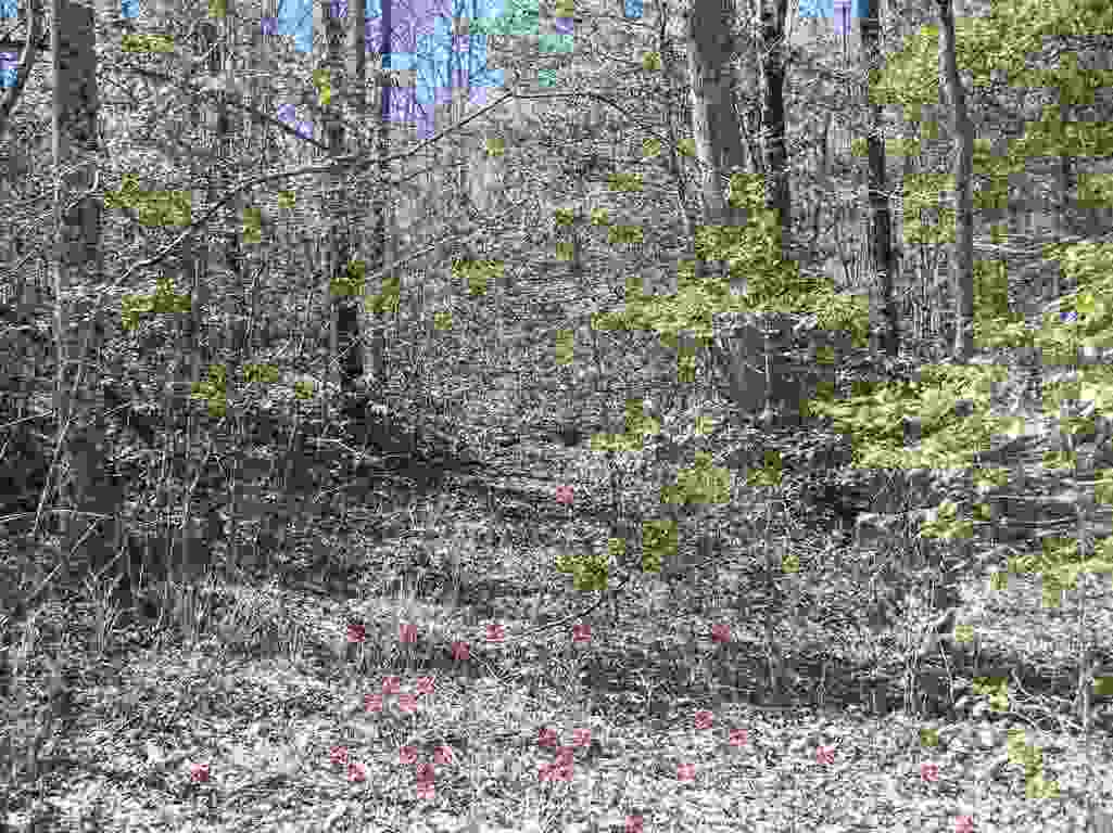 Gallery Image 6
