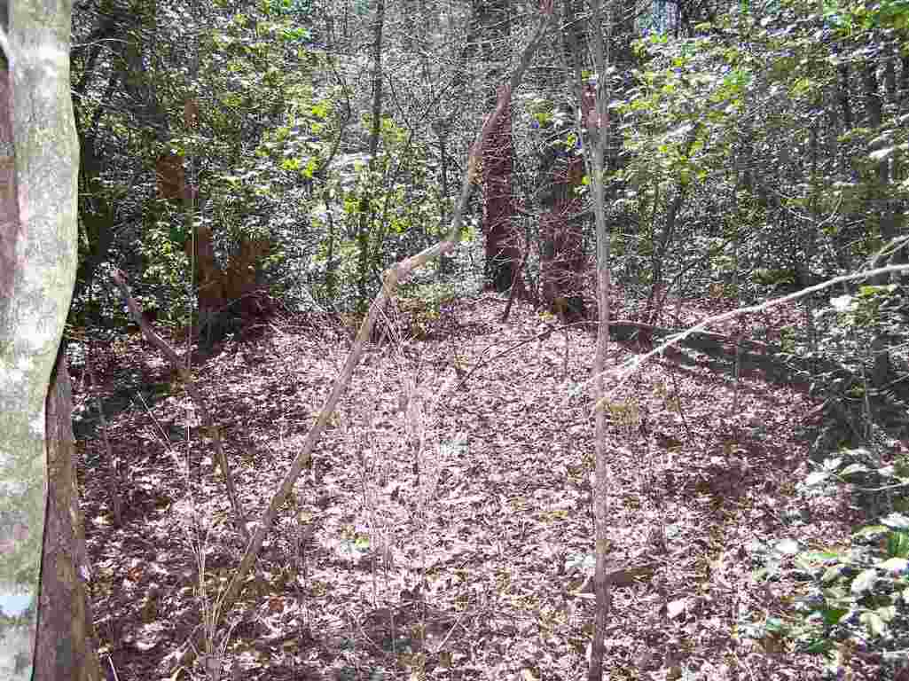 Lot 002 Bonner Road Mountain Rest, SC 29664 - Photo 10 of 31 Gallery Image 10
