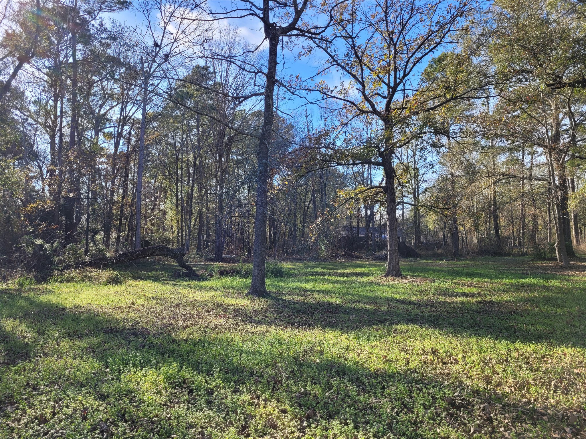 15540 Firetower Road Conroe, TX 77306 - Photo 18 of 20