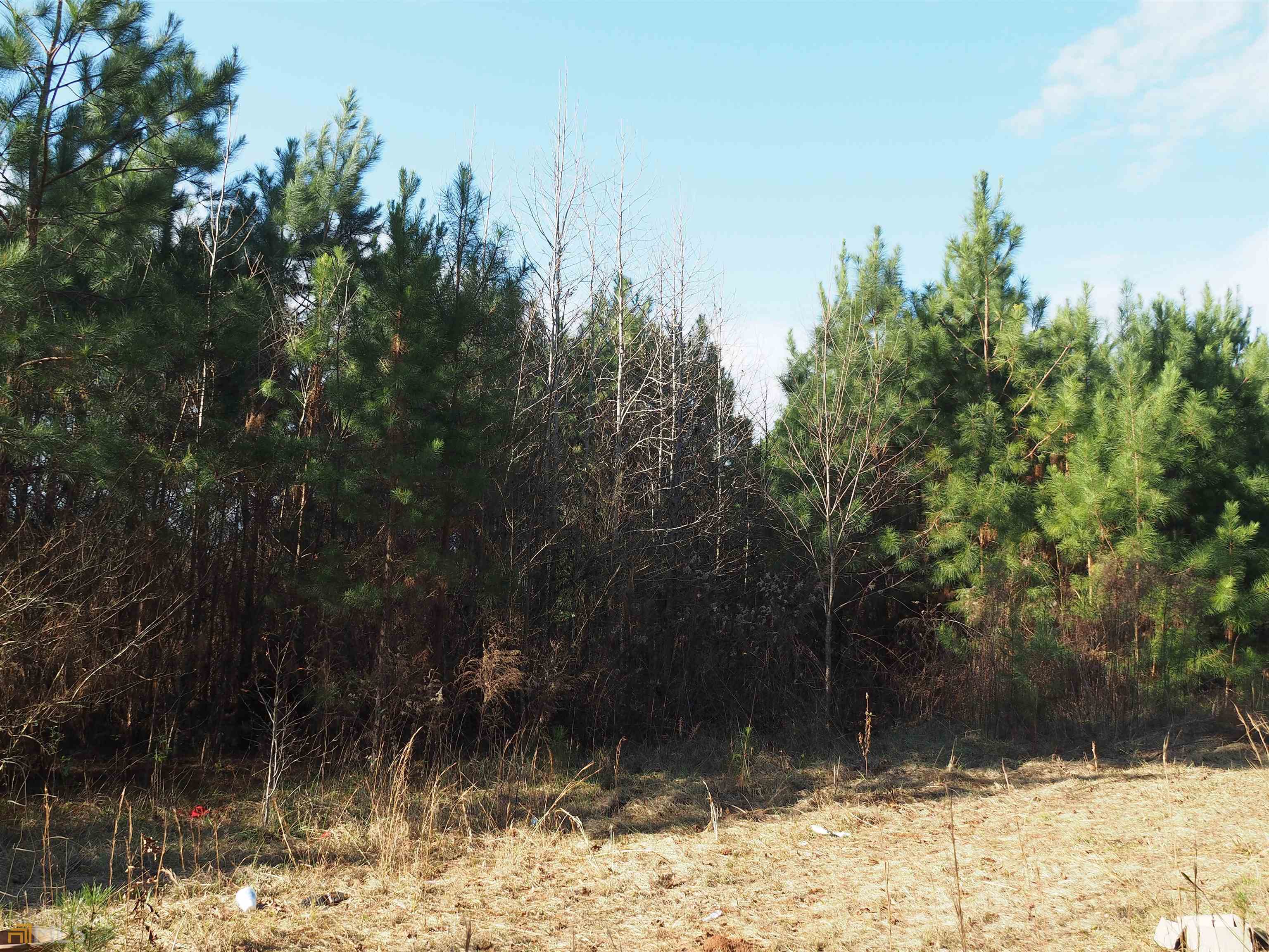a view of a backyard of the house