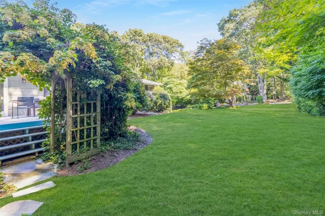 a view of a garden with a tree