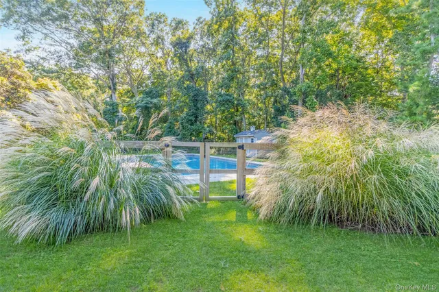 a view of a backyard