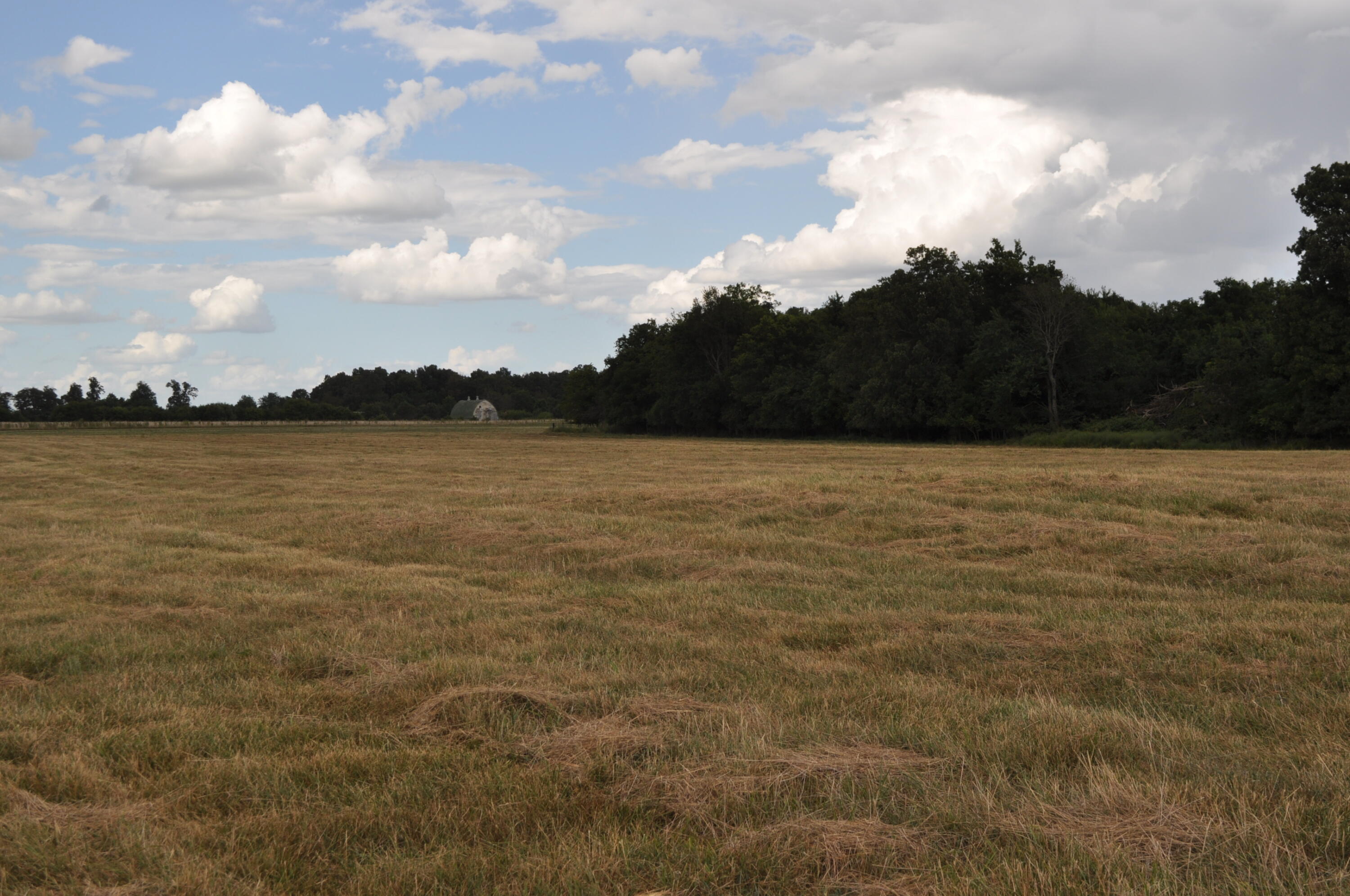 0 Smart Road, Unit TRACT 20 C Billings, MO 65610 - Photo 1 of 1 DSC_0061
