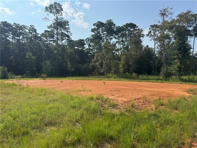 Tbd Berry Todd Road Lacombe, LA 70445 - Photo 4 of 6 Gallery Image 4