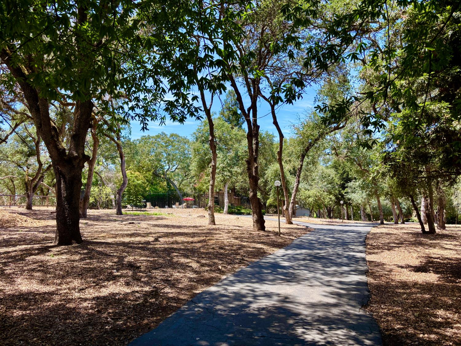 7029 Rio Cuarto Court Citrus Heights, CA 95621 - Photo 31 of 36 Walking trail leading to the Retreat Pool