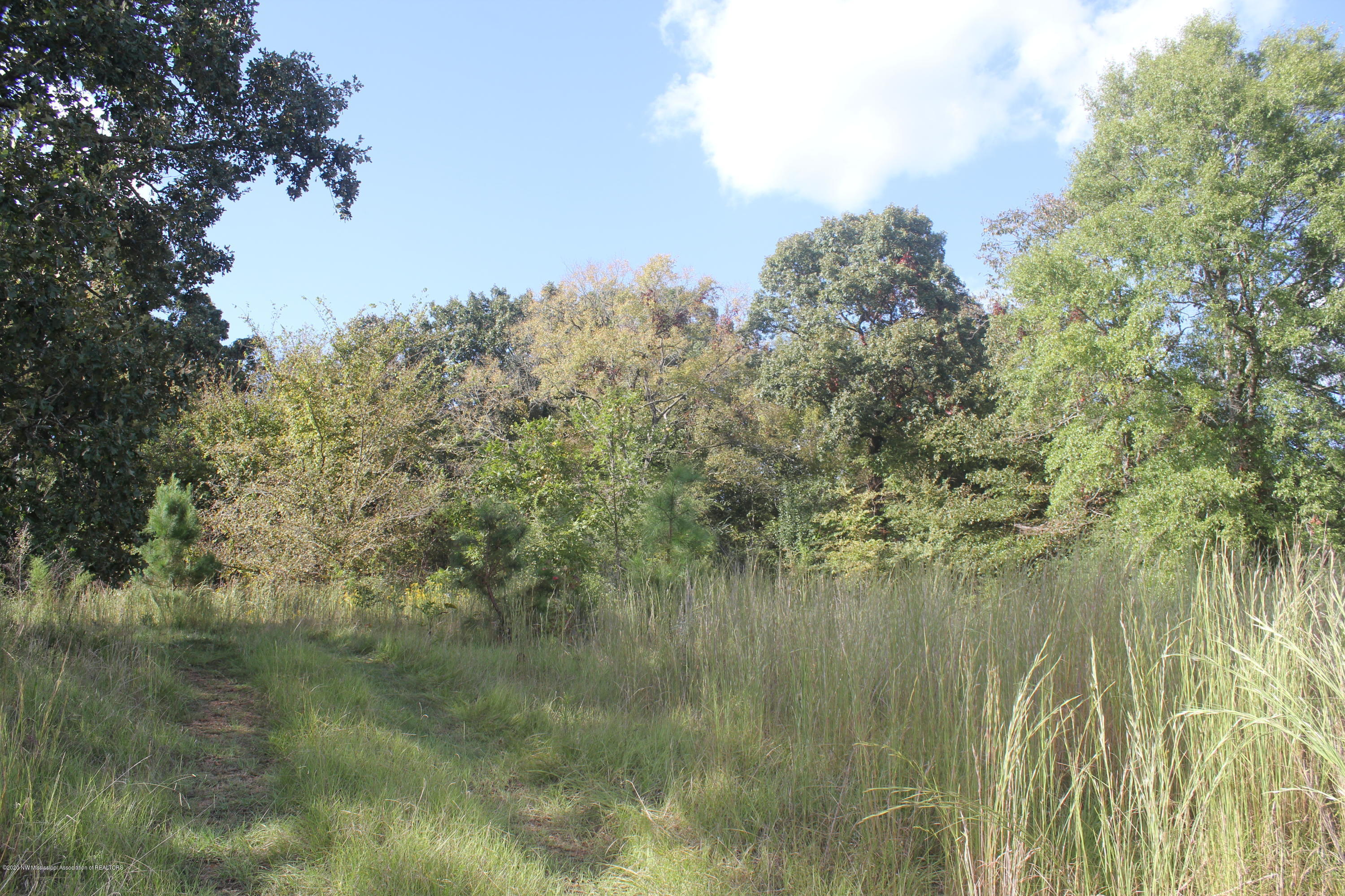 1869 Walhill Road Coldwater, MS 38618 - Photo 3 of 22 IMG_4826