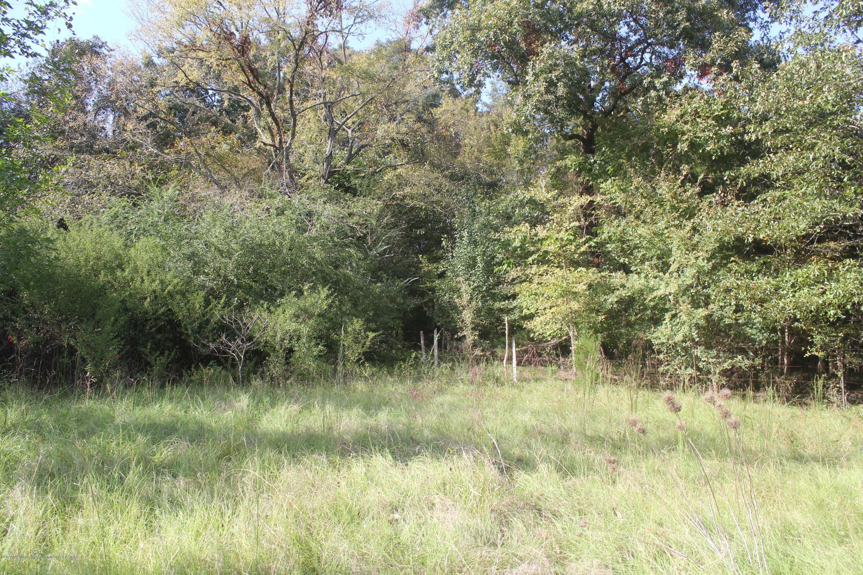 1869 Walhill Road Coldwater, MS 38618 - Photo 5 of 22 IMG_4828