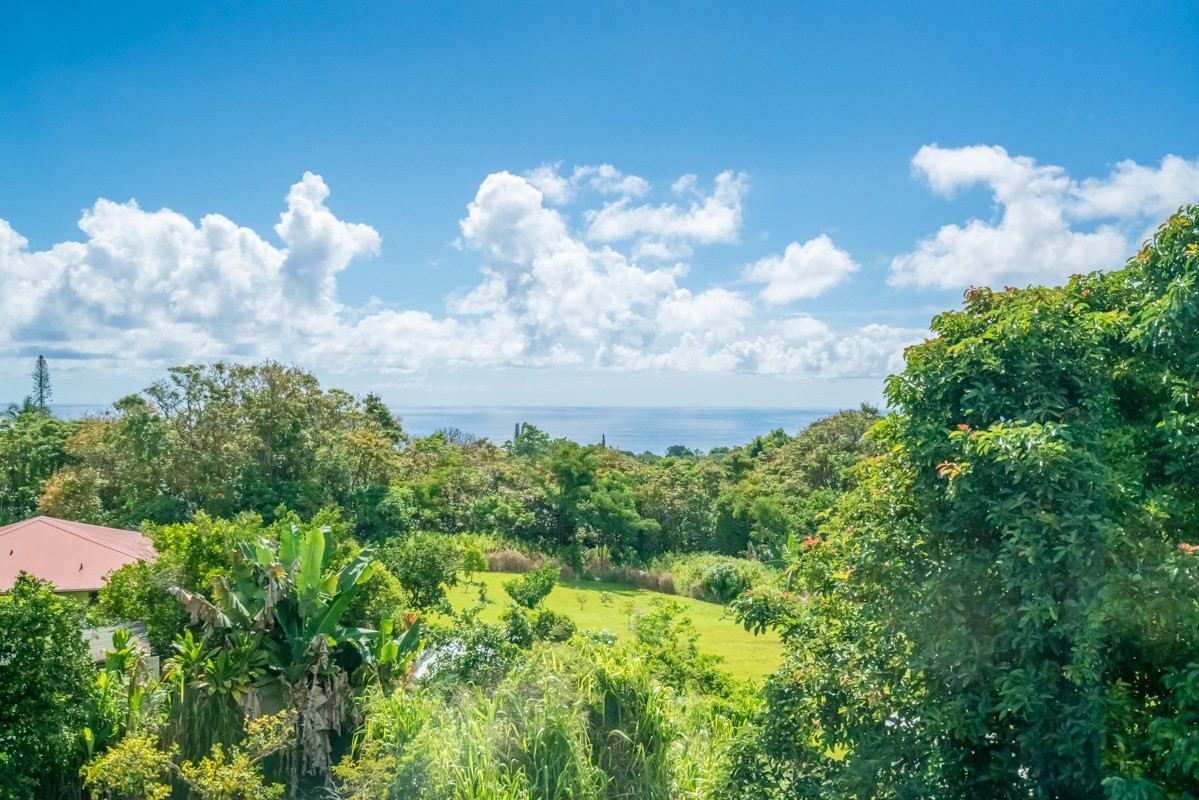 27-571 Kalaoa Camp Road Papaikou, HI 96781 - Photo 27 of 29 a close up of a flower in a garden