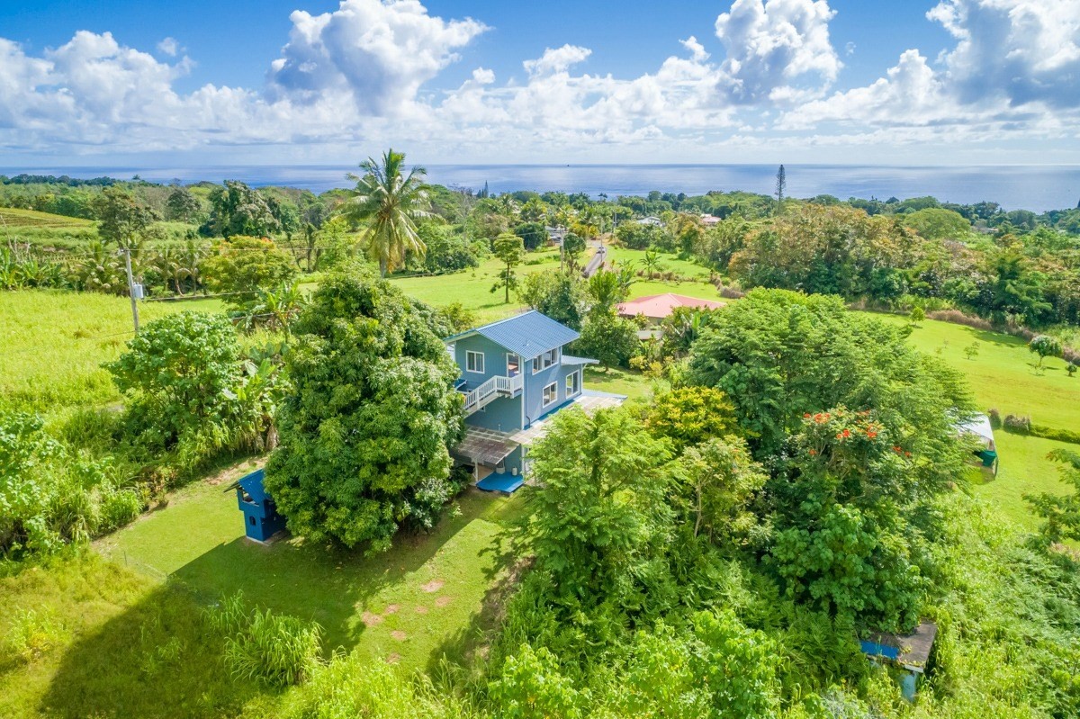 27-571 Kalaoa Camp Road Papaikou, HI 96781 - Photo 4 of 29 a view of a garden