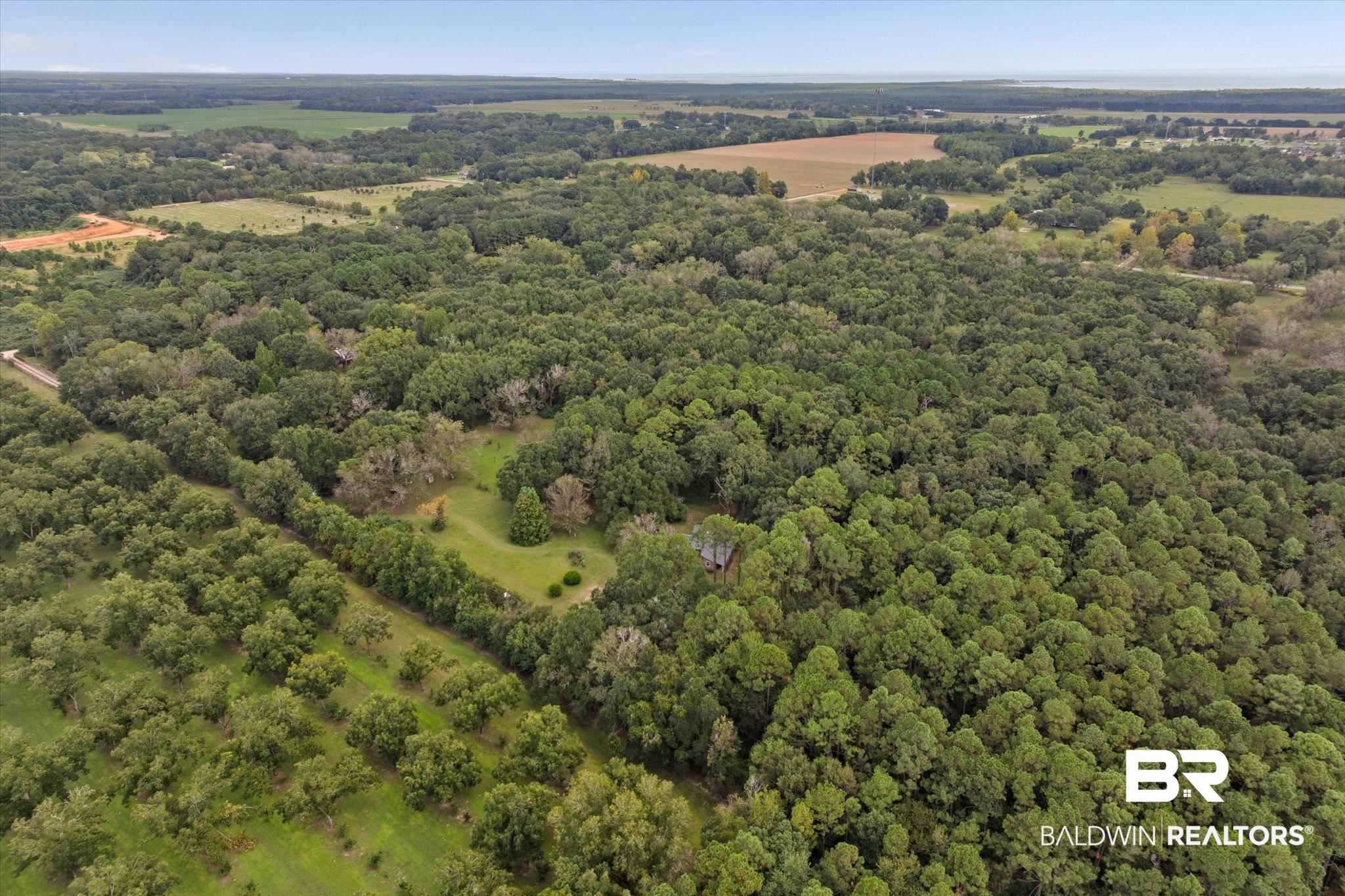0 Dick Turner Road Grand Bay, AL 36541 - Photo 8 of 13 Aerial view of property and surrounding area