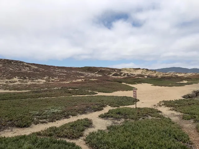 a view of ocean view with beach