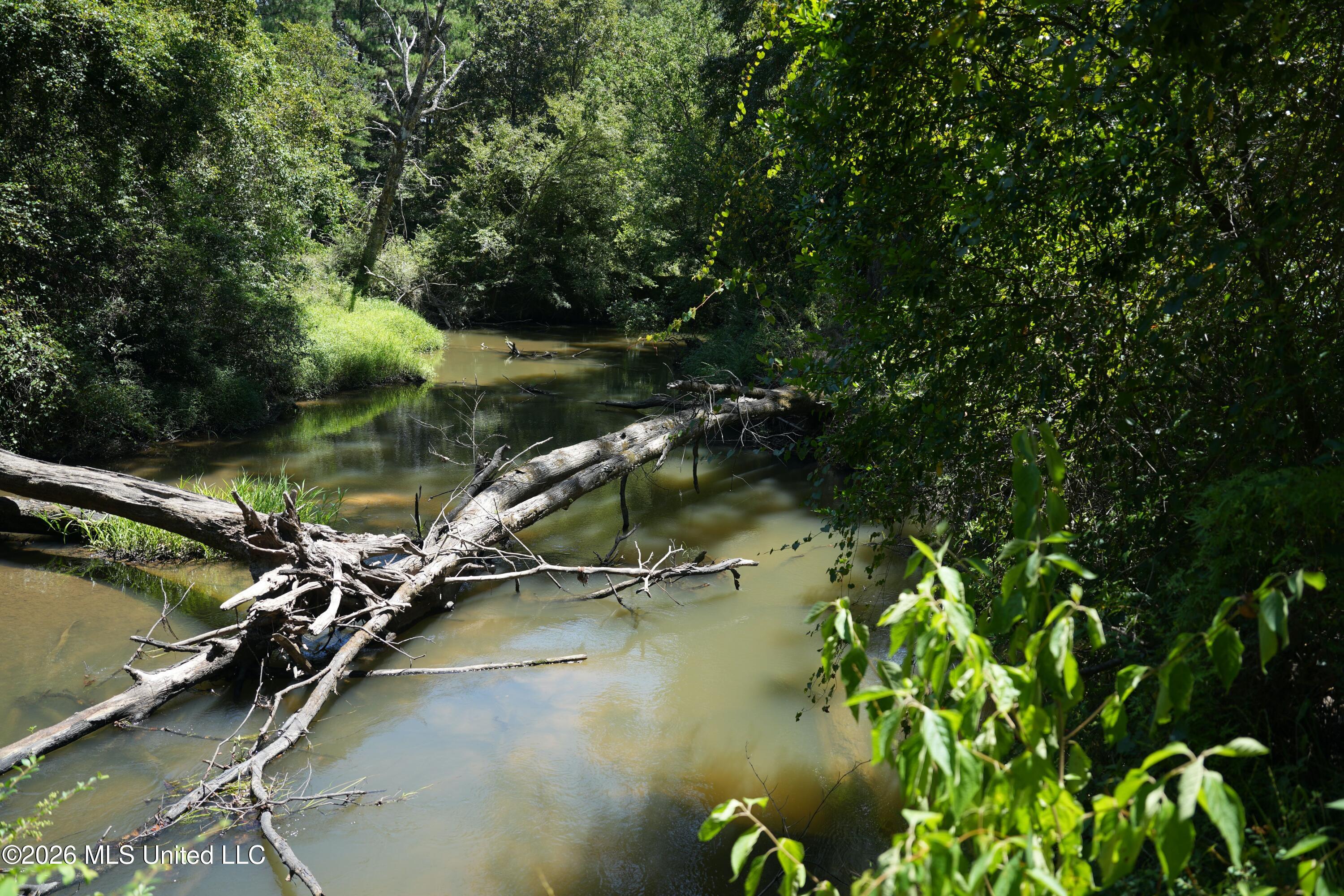 Xxxx Hamp Lea Road Magnolia, MS 39652 - Photo 28 of 48 DSC04088