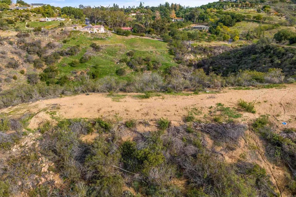 0 Hilbert Drive Fallbrook, CA 92028 - Photo 13 of 23 a view of a yard with a tree