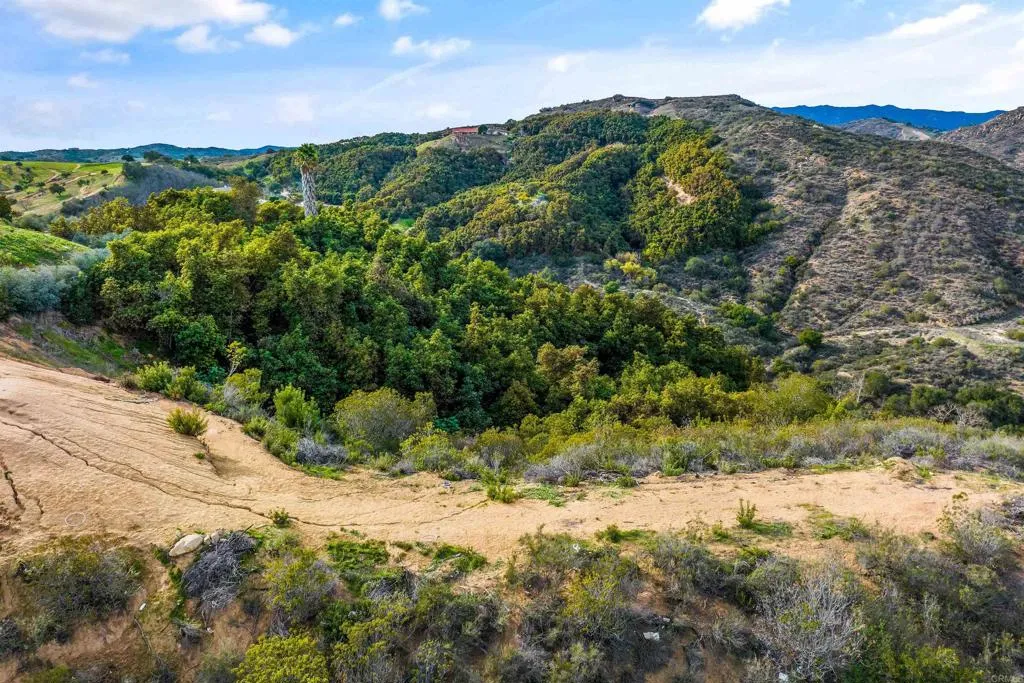 0 Hilbert Drive Fallbrook, CA 92028 - Photo 20 of 23 a view of a yard with mountains