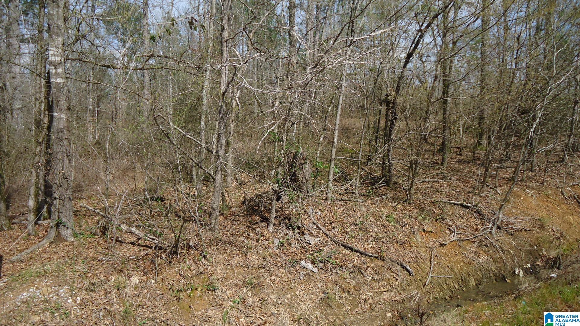 551 Grayton Road South Ohatchee, AL 36271 - Photo 4 of 12