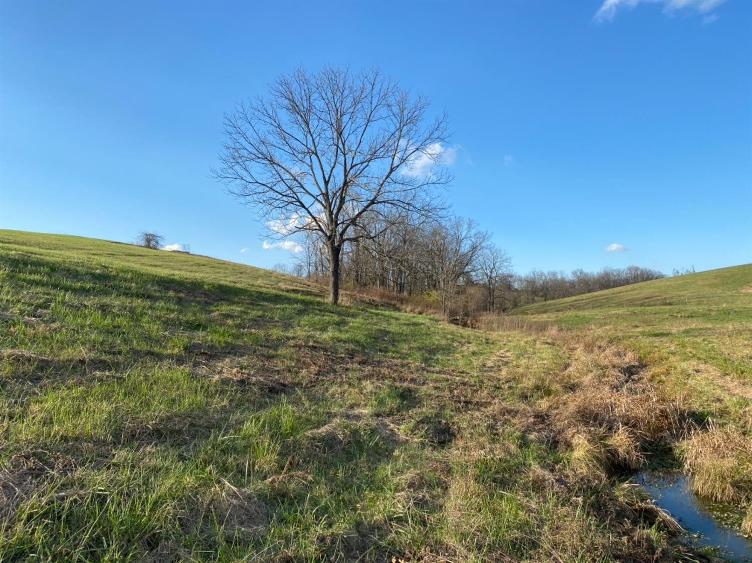 591 Rockridge Road Paris, KY 40361 - Photo 30 of 61 Photo 30