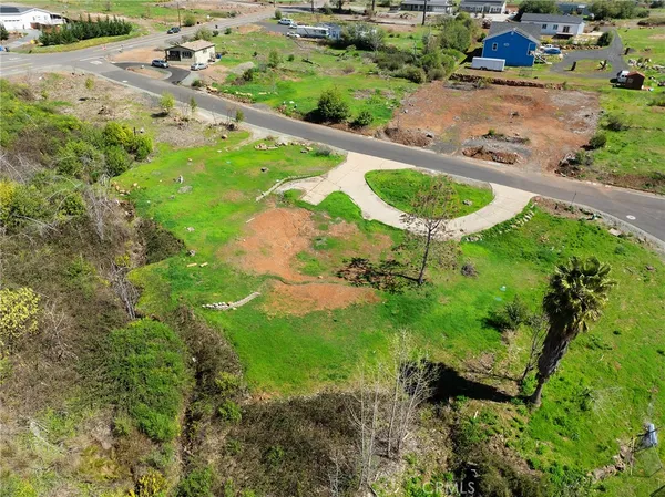 an aerial view of a garden with swimming pool
