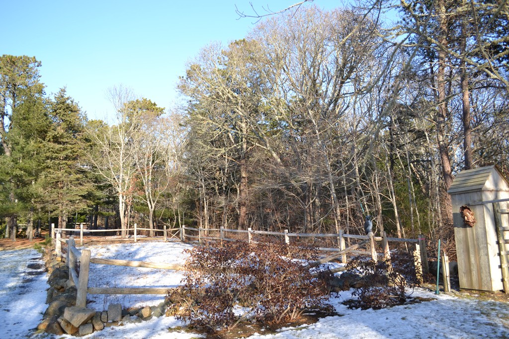 40 Joshua Jethro Road Harwich, MA 02645 - Photo 12 of 22 a view of yard with tree