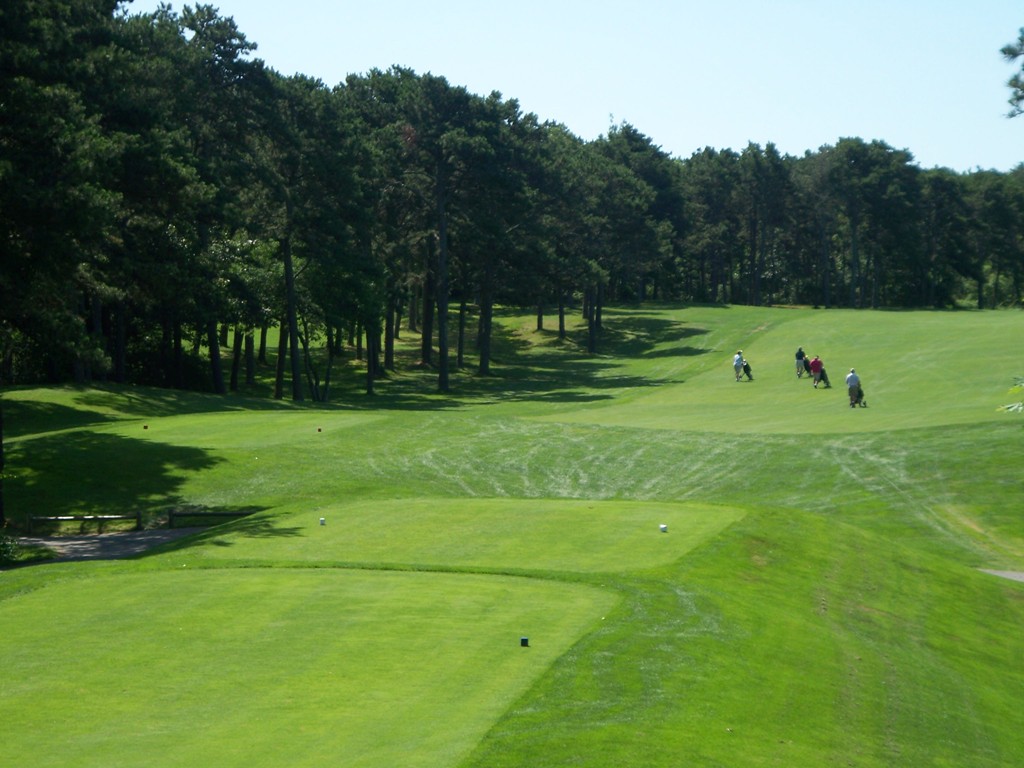 40 Joshua Jethro Road Harwich, MA 02645 - Photo 18 of 22 a view of a golf course with a play ground
