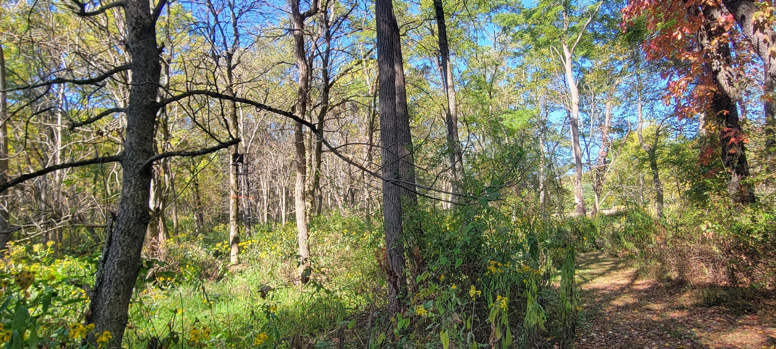 20561 Canada Road Howard, OH 43028 - Photo 32 of 33 20250914_104738