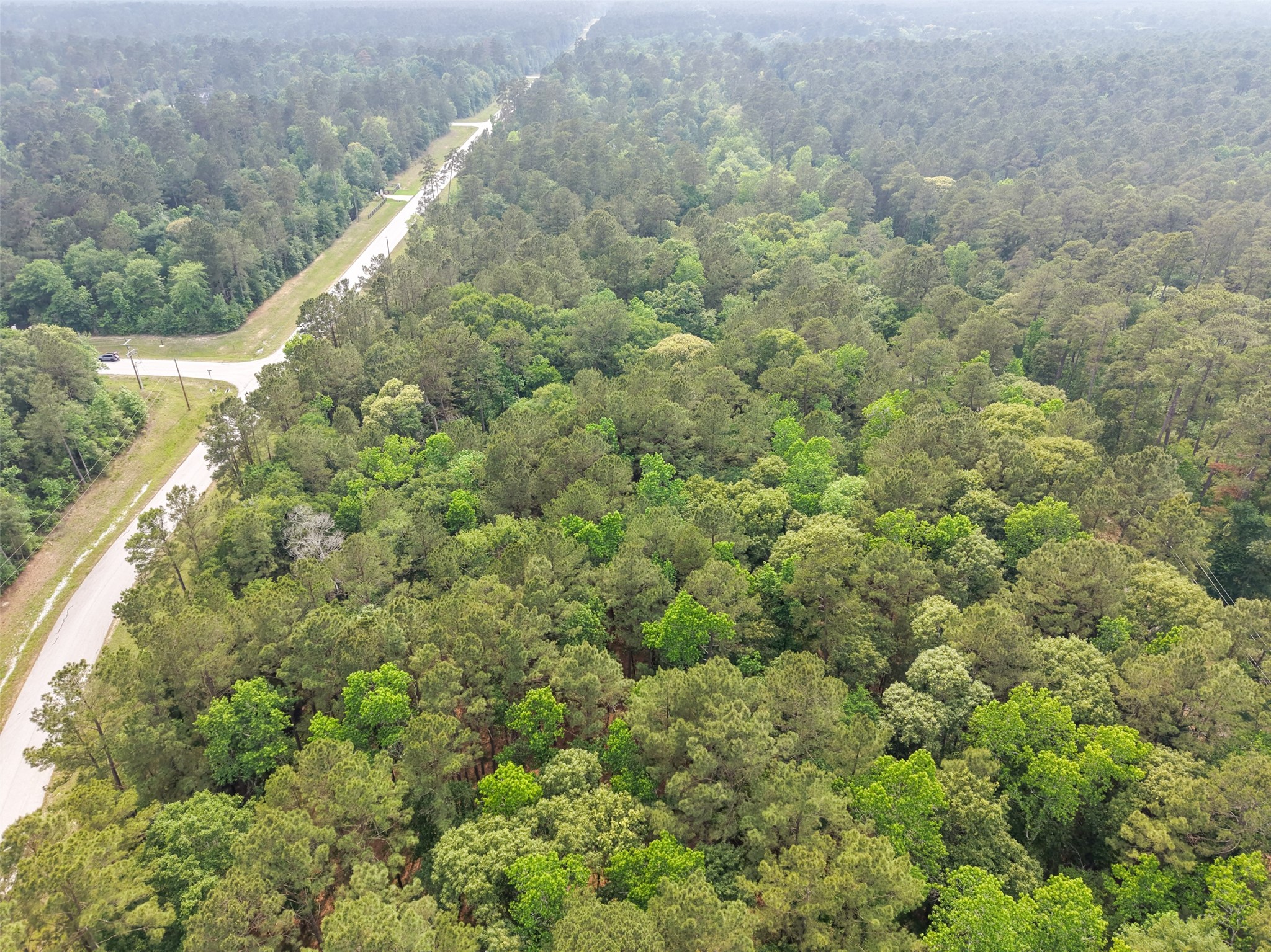 12-22-76 Granite Road Conroe, TX 77304 - Photo 13 of 21 a view of a forest with a street