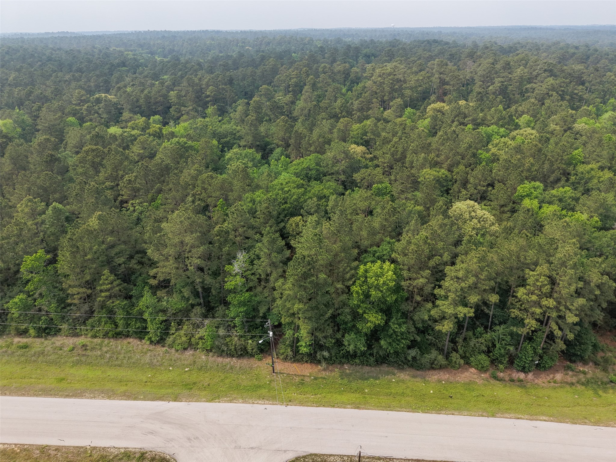 12-22-76 Granite Road Conroe, TX 77304 - Photo 8 of 21 a view of a yard with a trees