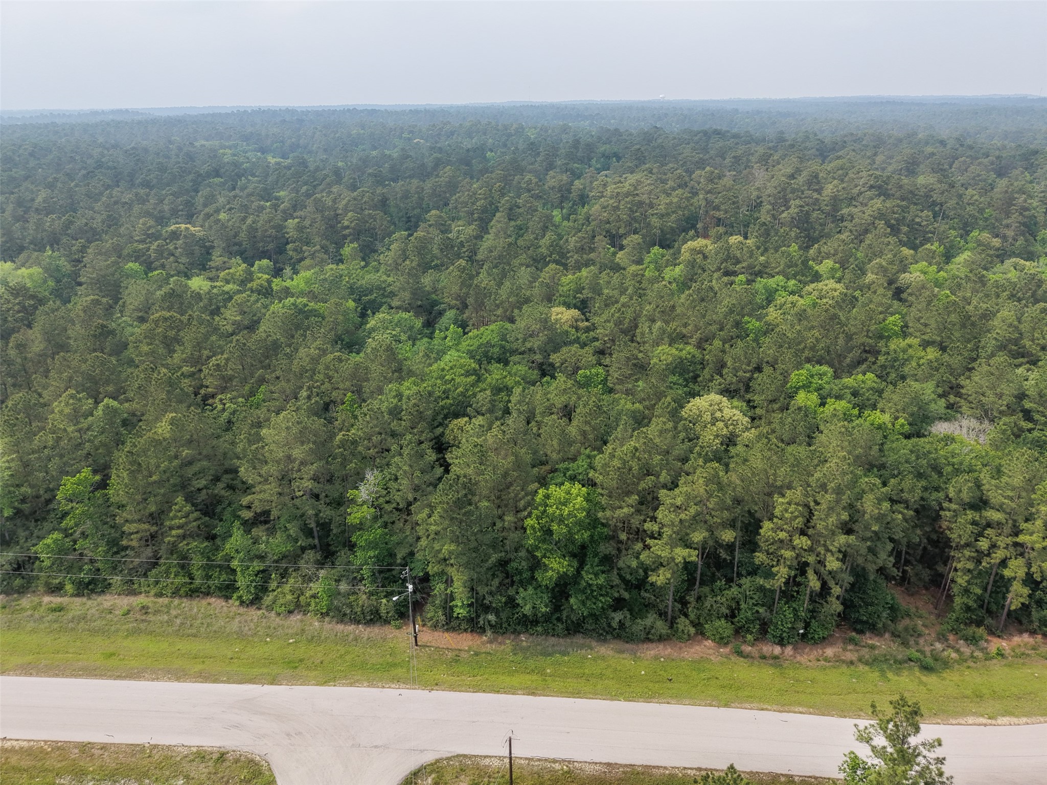 12-22-76 Granite Road Conroe, TX 77304 - Photo 9 of 21 a view of a yard with a large trees