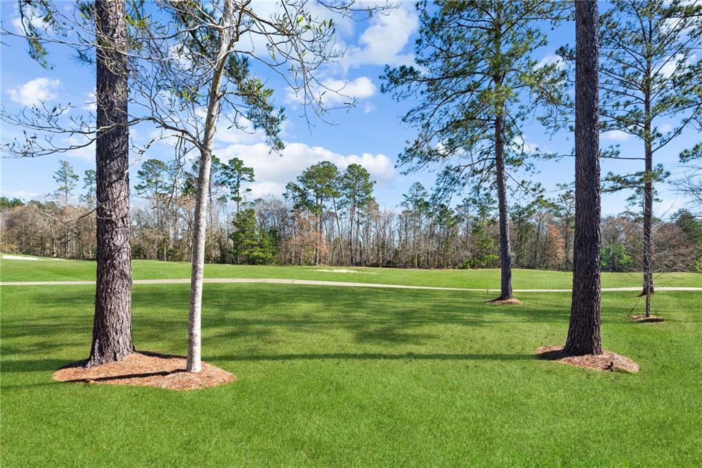 30608 Tupelo Pond Springfield, LA 70462 - Photo 19 of 23 Gallery Image 19