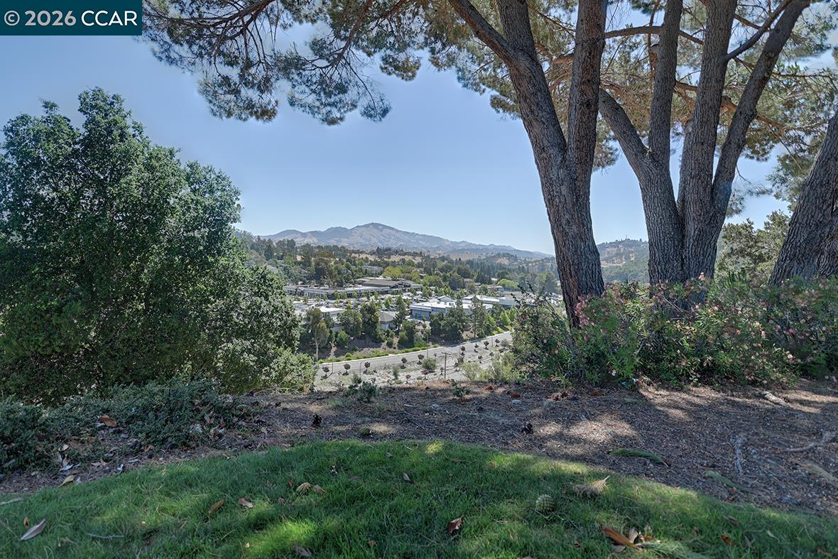 1916 Golden Rain Road, Unit 3 Walnut Creek, CA 94595 - Photo 43 of 51