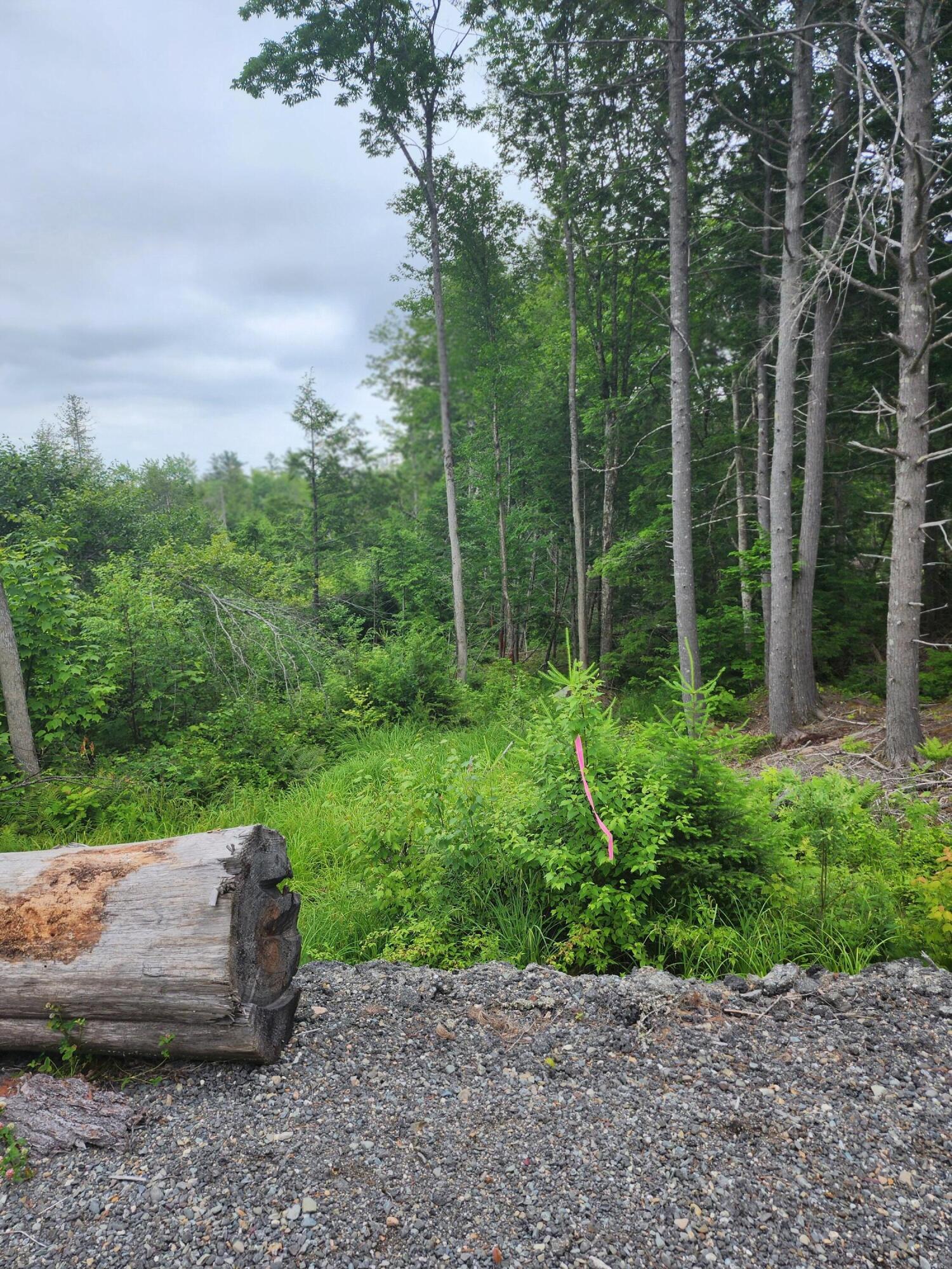 213 Moose Hl Road Ellsworth, ME 04605 - Photo 22 of 34 20250701_113732