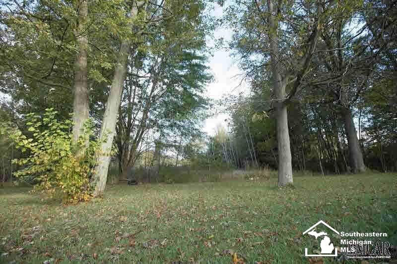 10315 Secor Road Temperance, MI 48182 - Photo 24 of 25 21396692-23.JPG