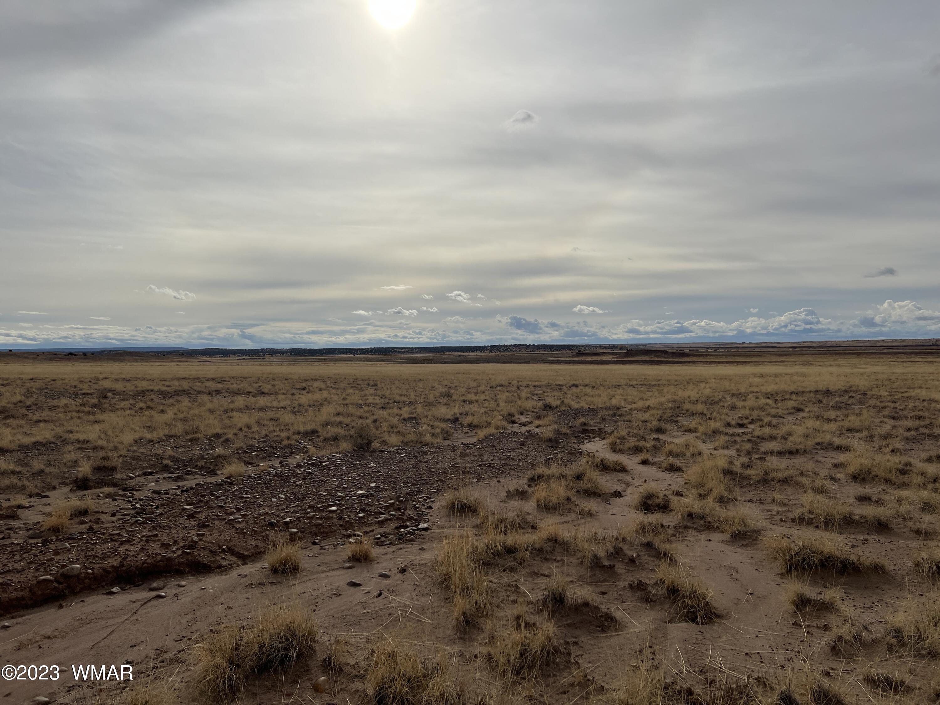 Lot 283 County Road Snowflake, AZ 85937 - Photo 13 of 38