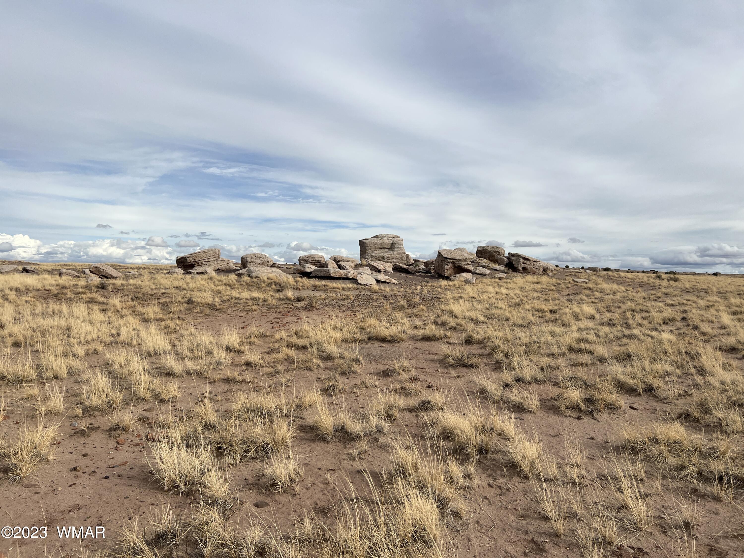 Lot 283 County Road Snowflake, AZ 85937 - Photo 15 of 38