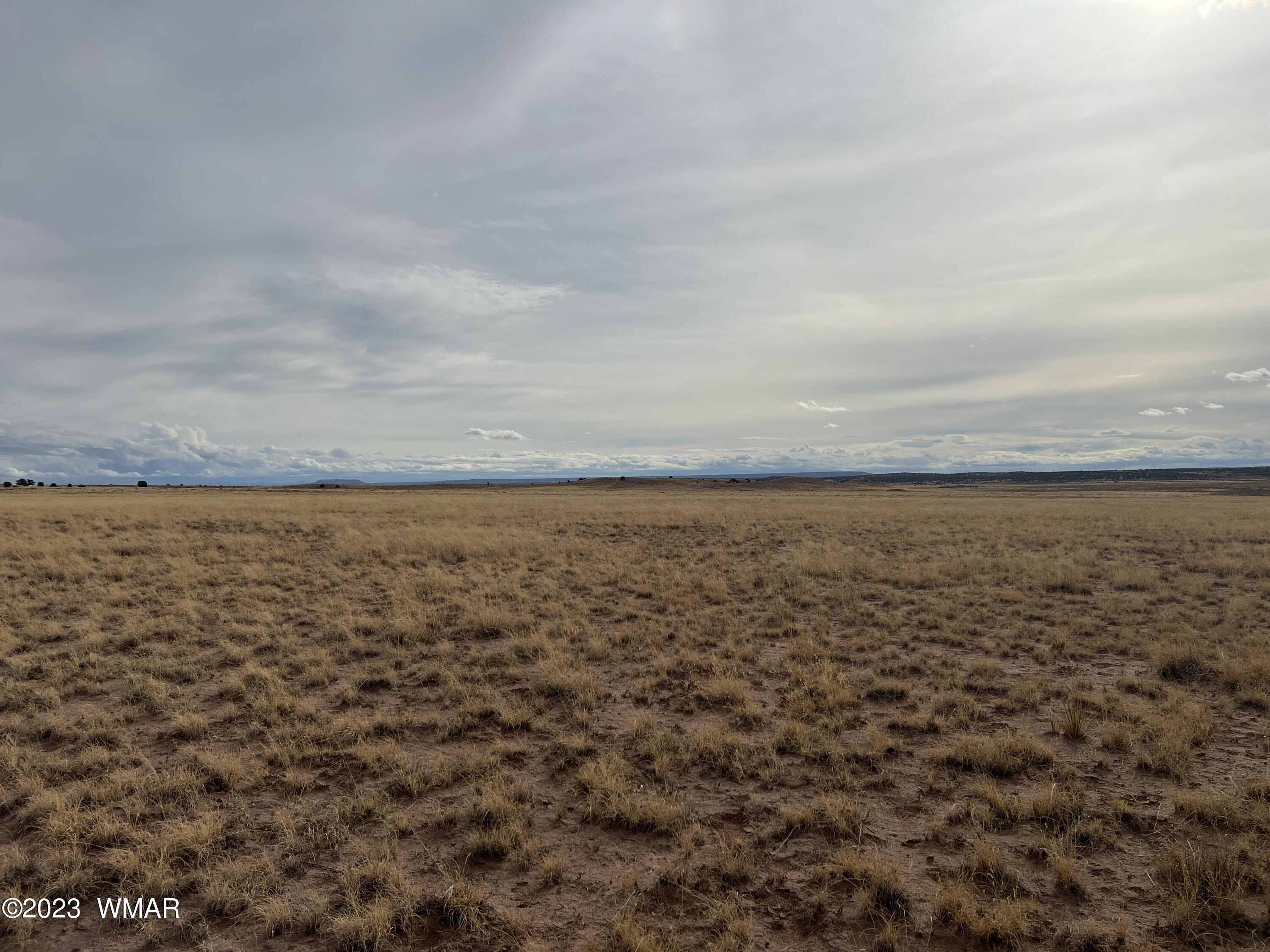 Lot 283 County Road Snowflake, AZ 85937 - Photo 16 of 38