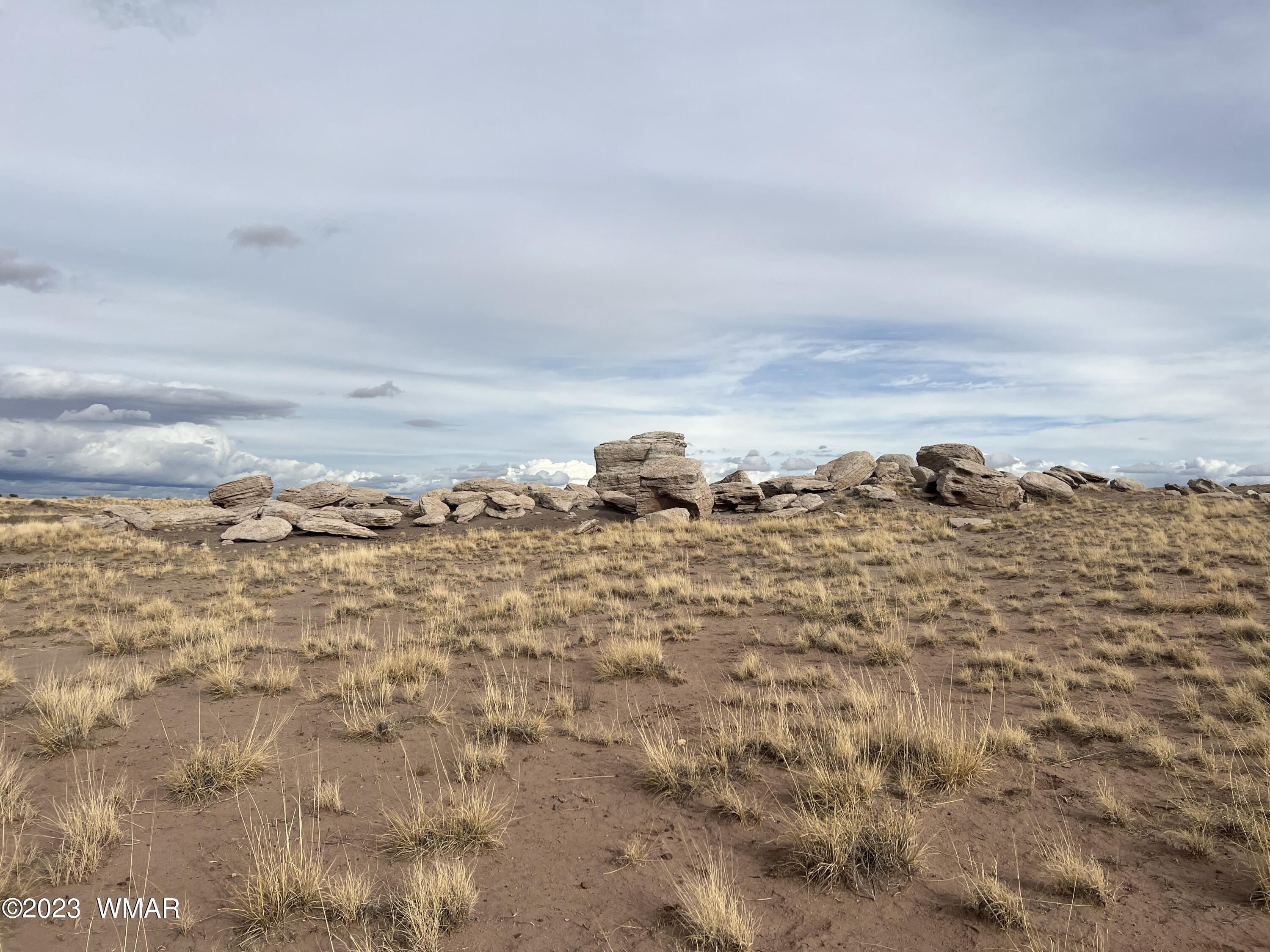 Lot 283 County Road Snowflake, AZ 85937 - Photo 18 of 38