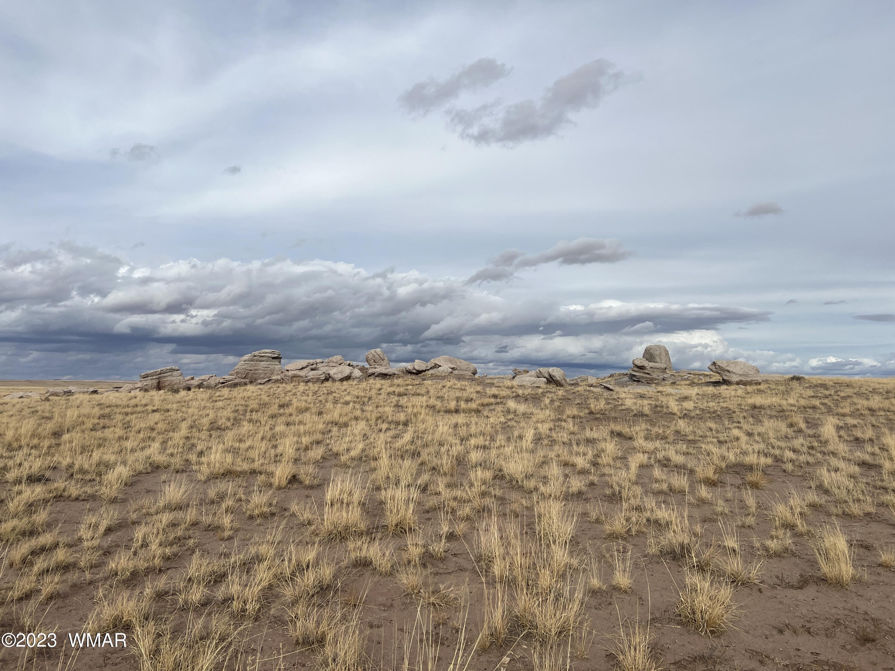 Lot 283 County Road Snowflake, AZ 85937 - Photo 19 of 38