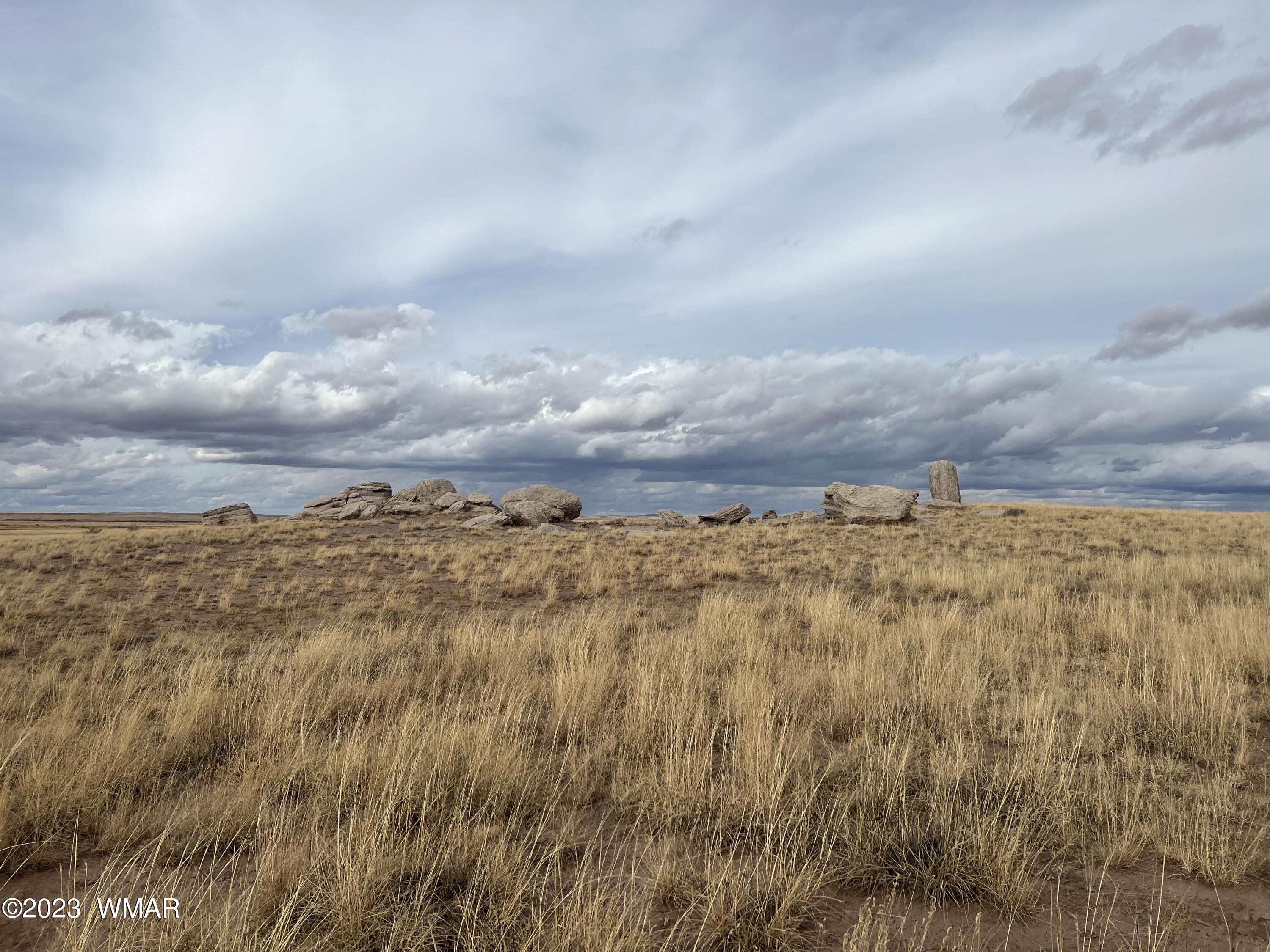 Lot 283 County Road Snowflake, AZ 85937 - Photo 22 of 38